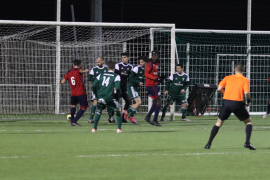 1_Photo-article-resumé-blavozy